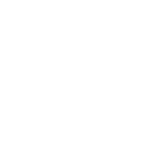 Mechanic Icon.