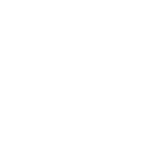 Wheel Icon.